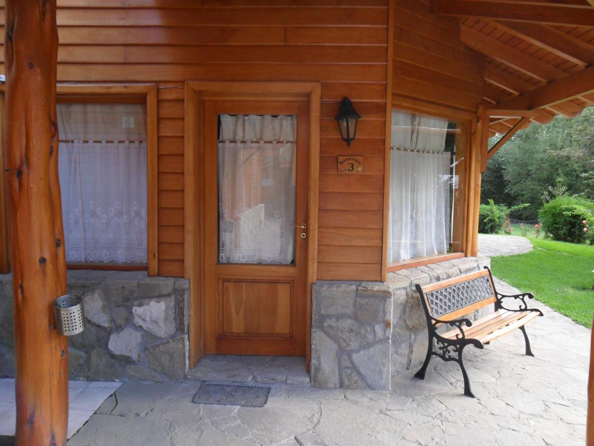 Apart Hotel Del Pellin San Martín de los Andes Rum bild